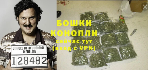 Альфа ПВП Верея