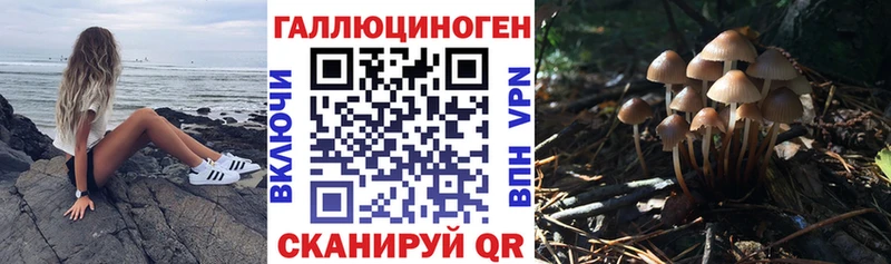 Псилоцибиновые грибы прущие грибы наркотики Крым